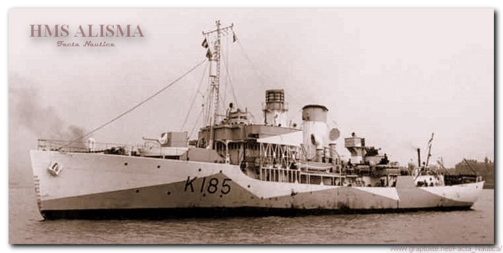 Brytyjska korweta HMS ALISMA. HMS ALISMA - corvette of the Flower class.