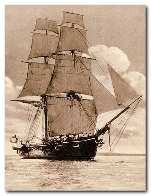 SMS UNDINE - aglowiec szkolny.