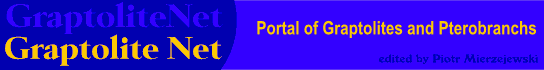 Graptolite Net: Graptolites and Pterobranchs.