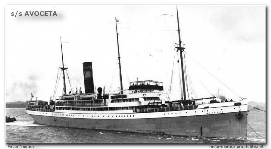 SS AVOCETA. Yeoward Line.